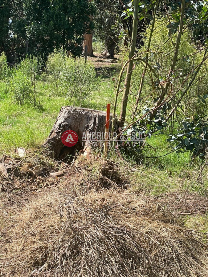 Terreno ID.10527 - Terreno en Edén Rock