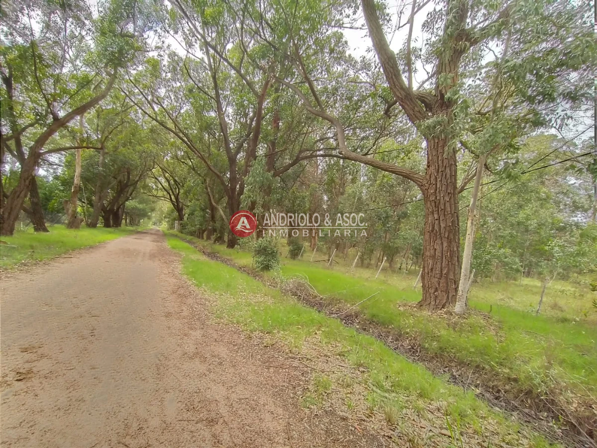 Terreno ID.6521 - oportunidad en polo club country de ruta 10 kilómetro 172