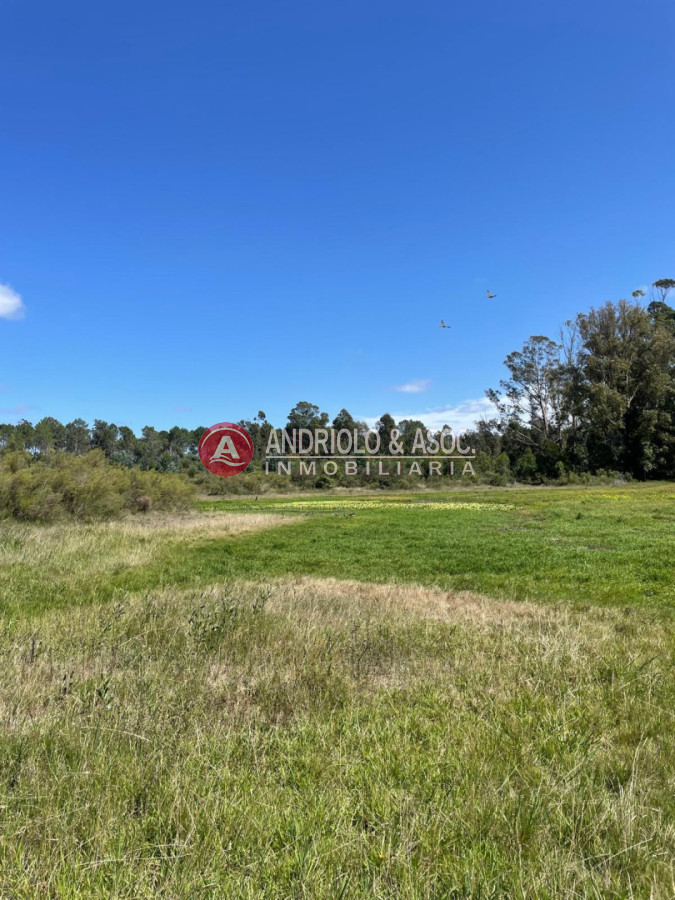 Terreno ID.10527 - Terreno en Edén Rock