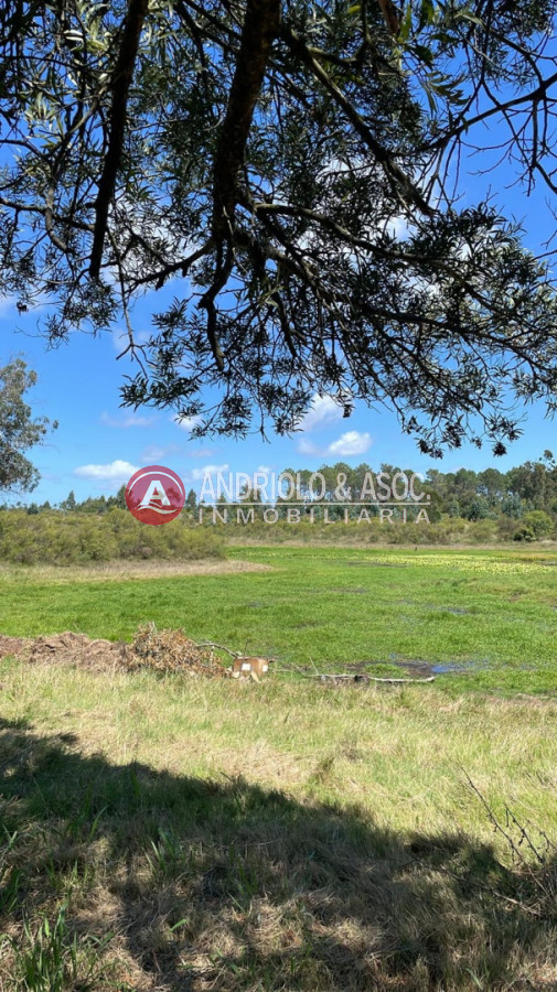 Terreno ID.10527 - Terreno en Edén Rock