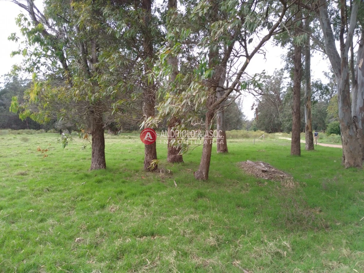 Terreno ID.6521 - oportunidad en polo club country de ruta 10 kilómetro 172
