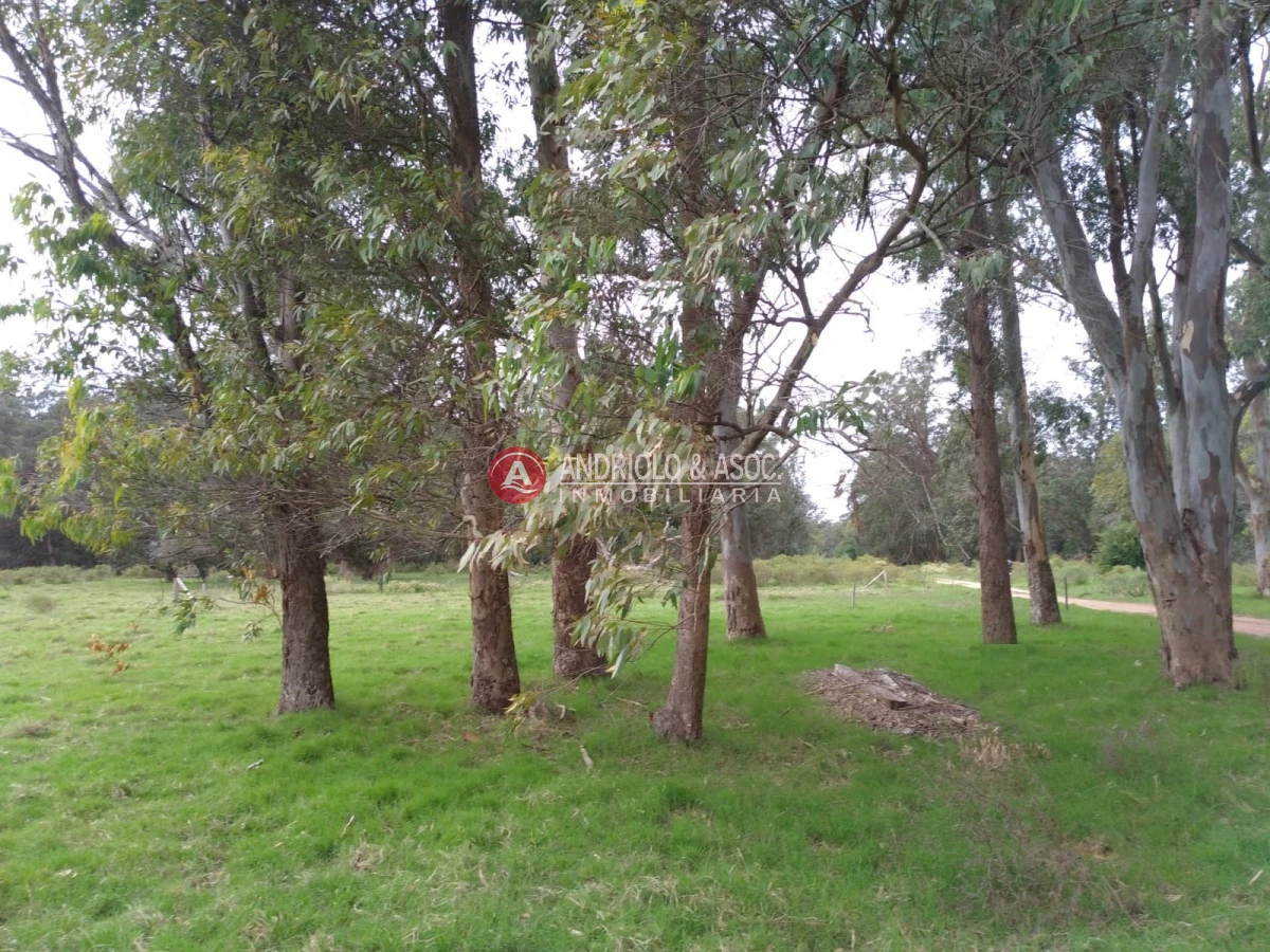Terreno ID.6521 - oportunidad en polo club country de ruta 10 kilómetro 172