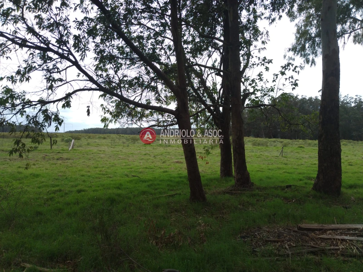 Terreno ID.6521 - oportunidad en polo club country de ruta 10 kilómetro 172