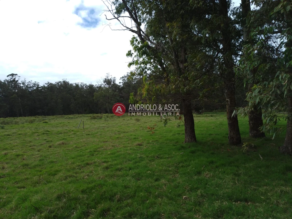 Terreno ID.6521 - oportunidad en polo club country de ruta 10 kilómetro 172