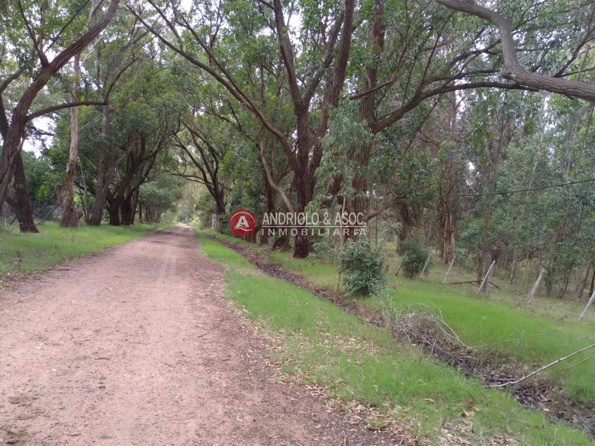 Terreno ID.6521 - oportunidad en polo club country de ruta 10 kilómetro 172