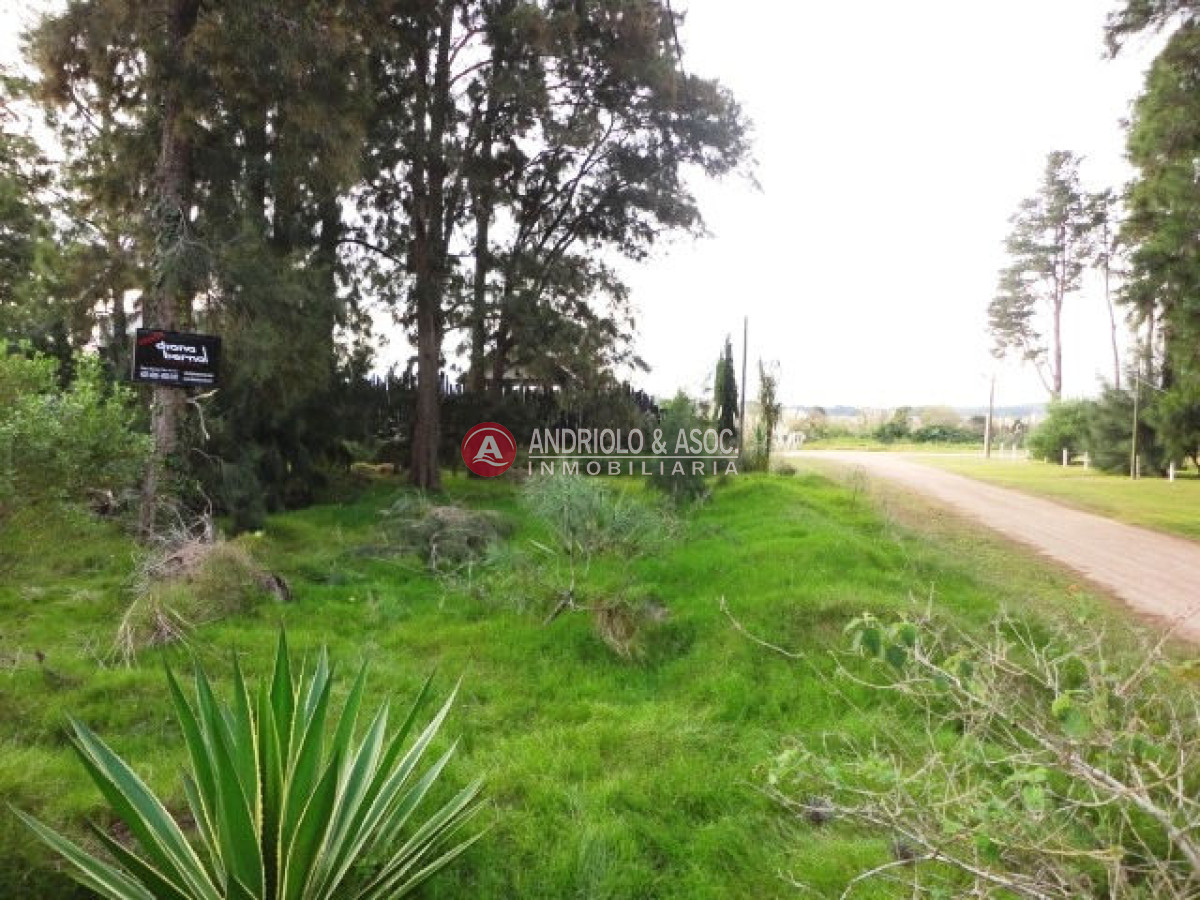 Terreno ID.5971 - Terreno en Punta del Este, Laguna del Diario