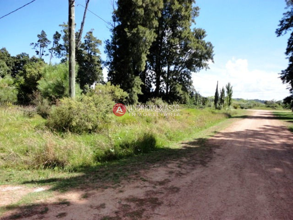 Terreno ID.5971 - Terreno en Punta del Este, Laguna del Diario