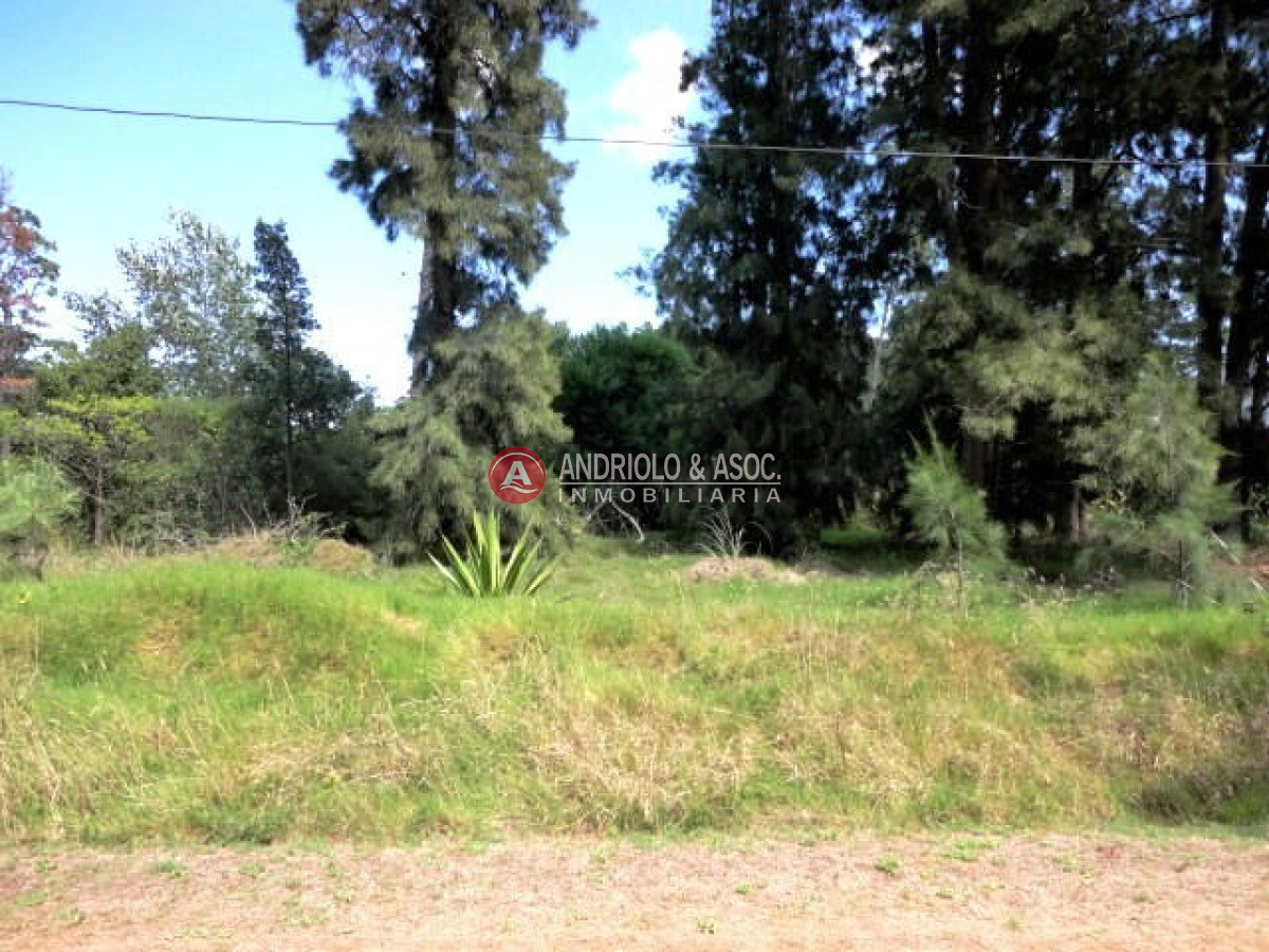Terreno ID.5971 - Terreno en Punta del Este, Laguna del Diario
