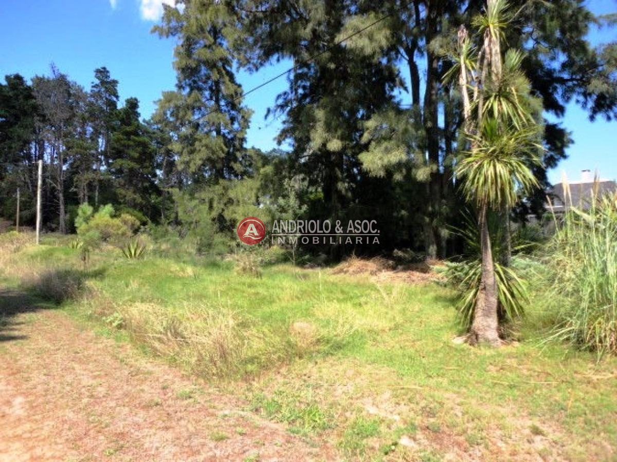 Terreno ID.5971 - Terreno en Punta del Este, Laguna del Diario