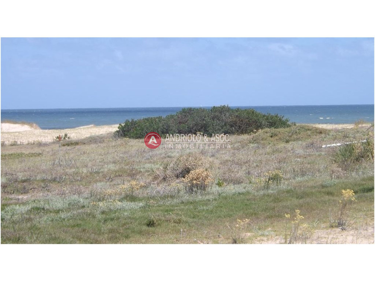 Terreno ID.5992 - Terreno en Punta Ballena, Chihuahua