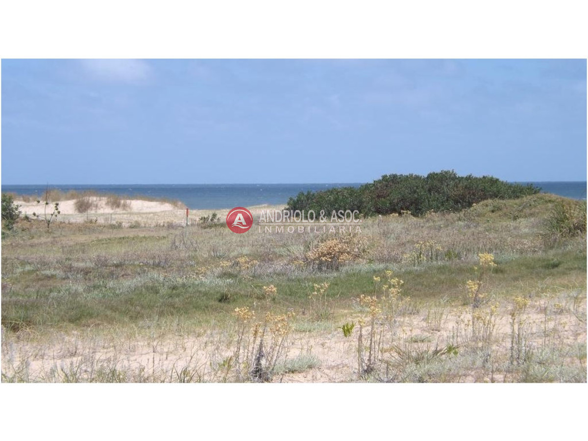 Terreno ID.5992 - Terreno en Punta Ballena, Chihuahua