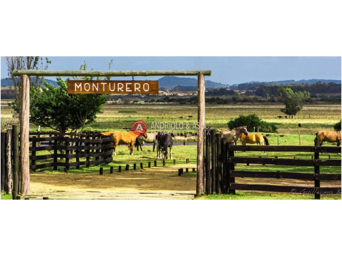 Terreno ID.6008 - Terreno en La Barra, La Barra