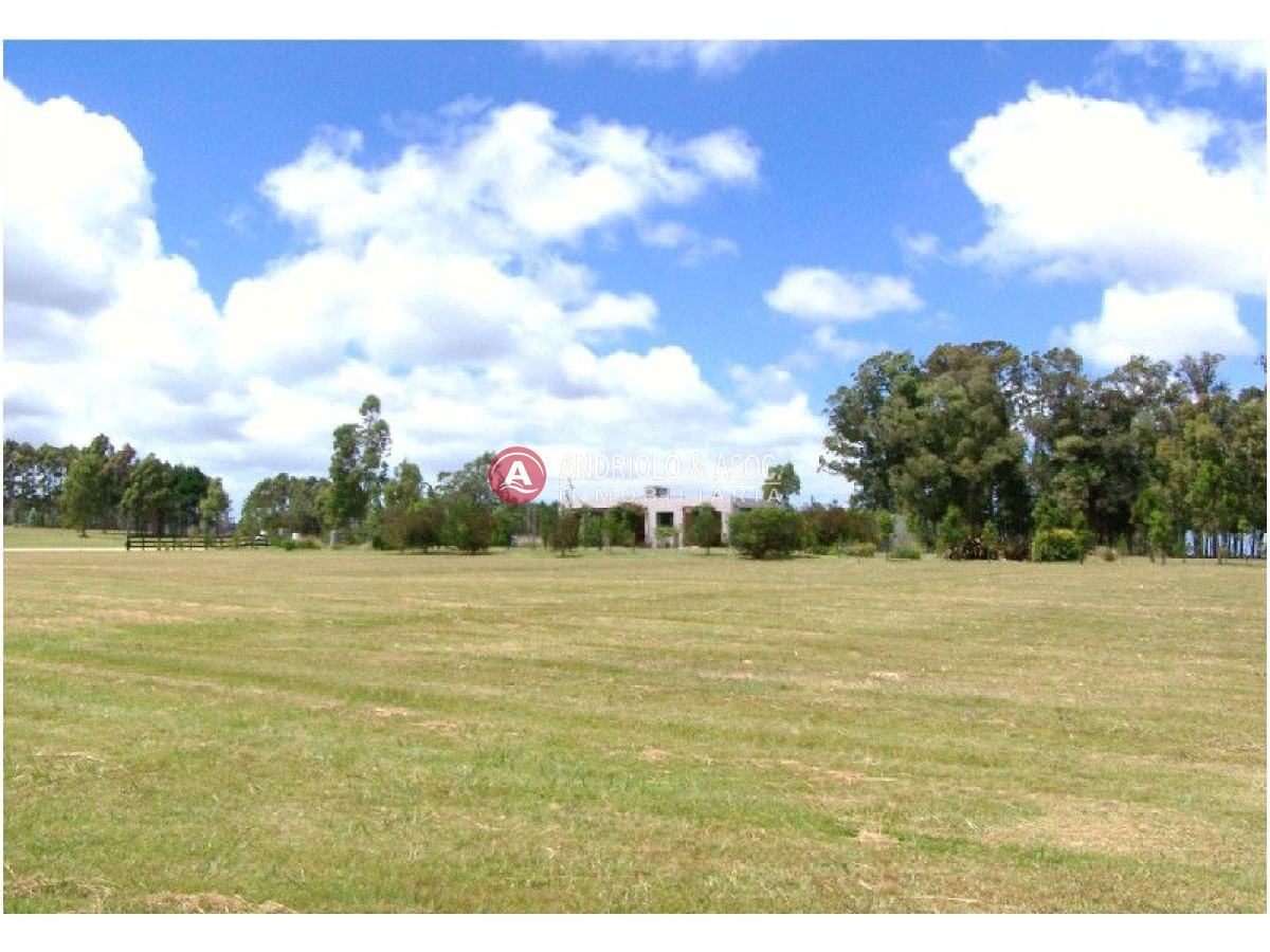 Terreno ID.5949 - Terreno en La Barra, La Barra