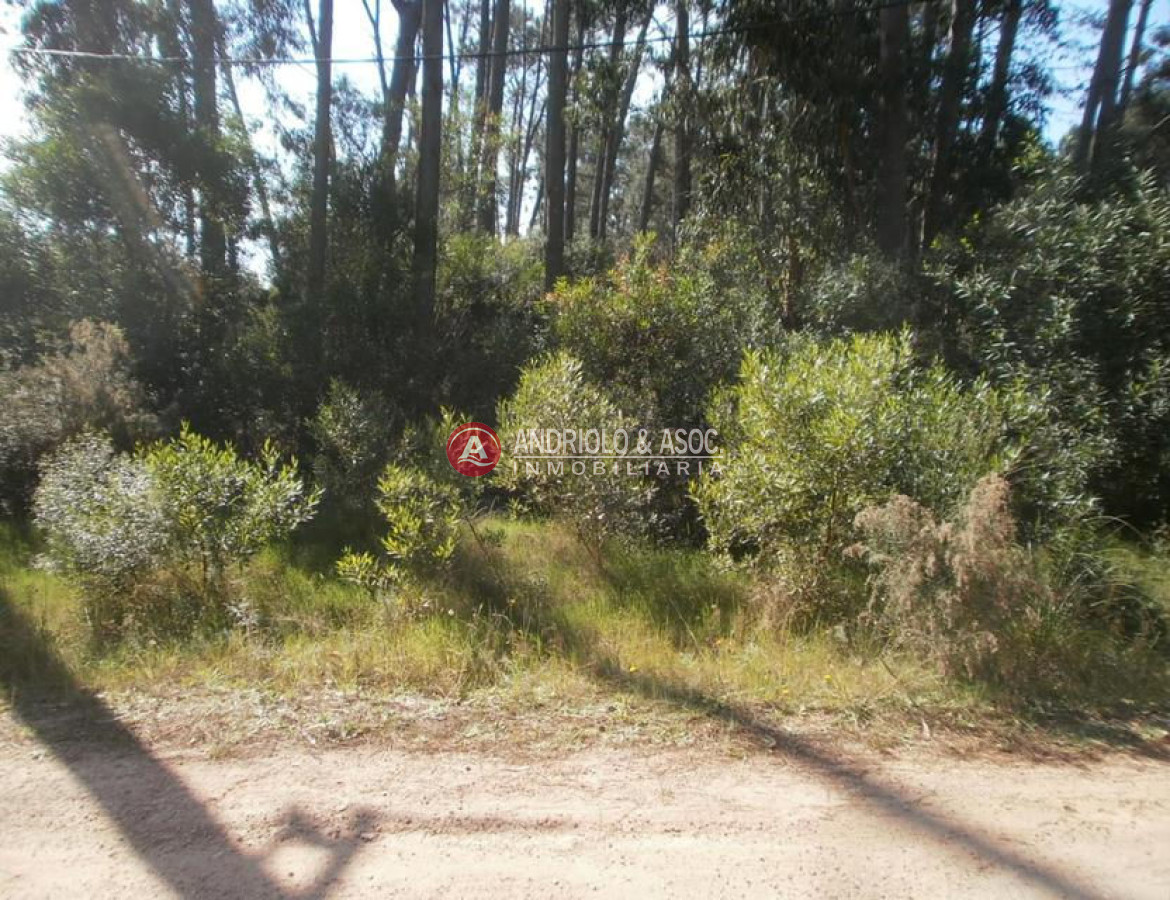 Terreno ID.5952 - Terreno en Punta Ballena, Solanas