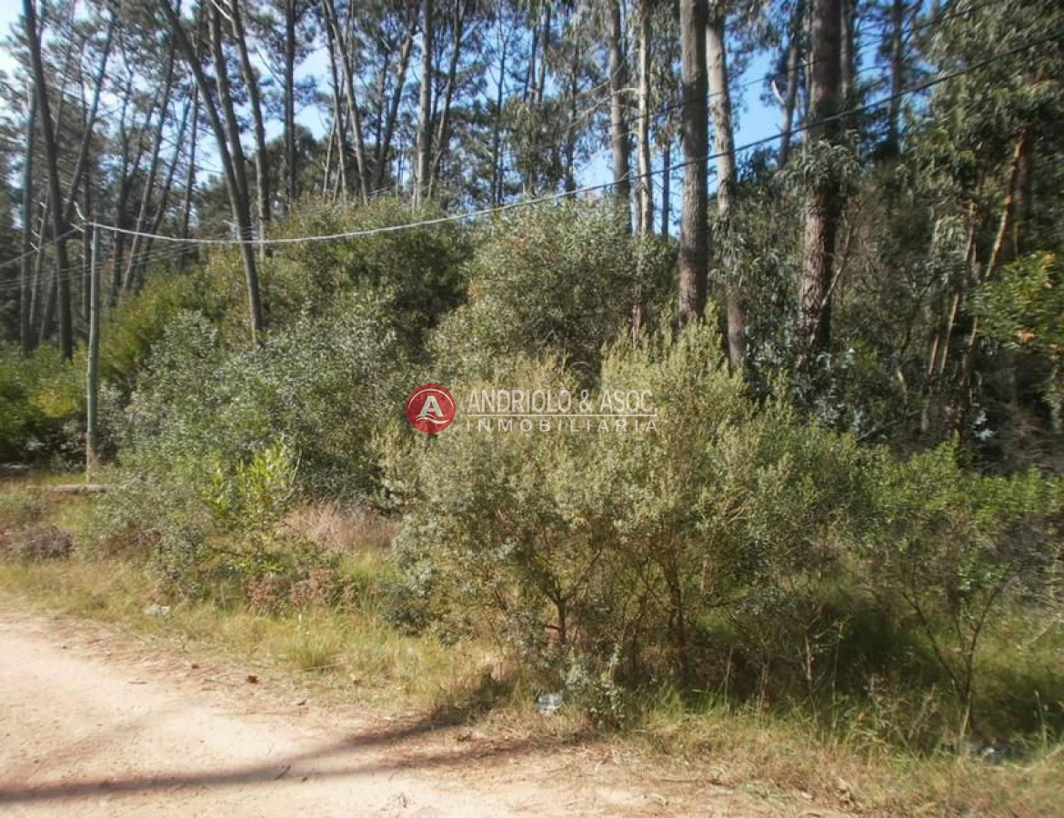 Terreno ID.5952 - Terreno en Punta Ballena, Solanas