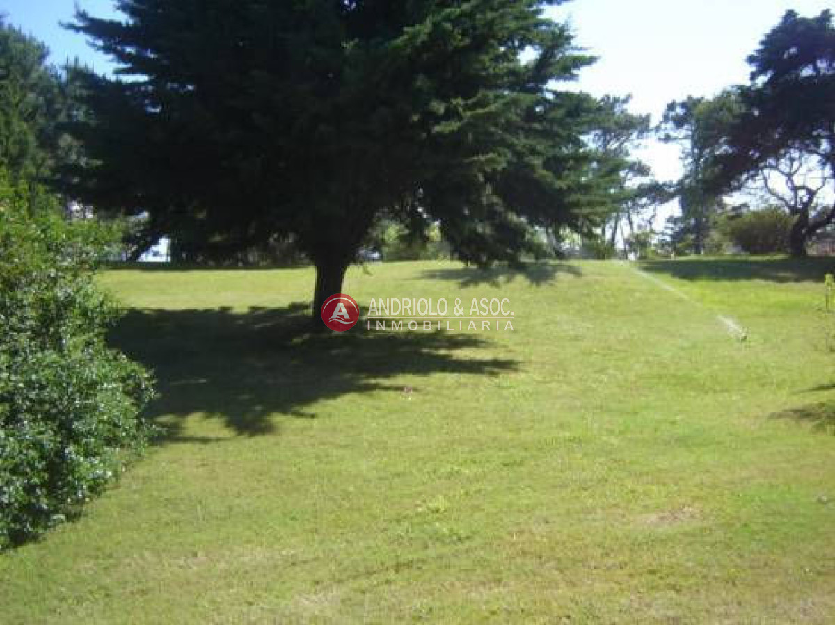 Apartamento ID.1916 - Apartamento en Punta del Este, Roosevelt