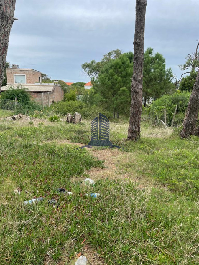 Montoya - GoPunta - Portal Inmobiliario de Punta del Este - Maldonado
