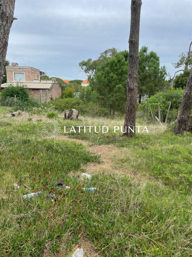 Montoya - GoPunta - Portal Inmobiliario de Punta del Este - Maldonado