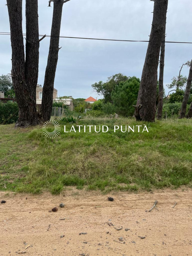 Montoya - GoPunta - Portal Inmobiliario de Punta del Este - Maldonado