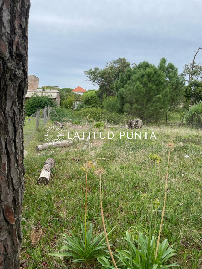 Montoya - GoPunta - Portal Inmobiliario de Punta del Este - Maldonado
