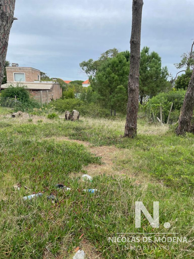 Montoya - GoPunta - Portal Inmobiliario de Punta del Este - Maldonado