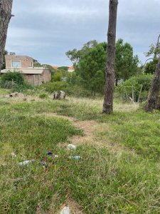 TERRENO EN MONTOYA