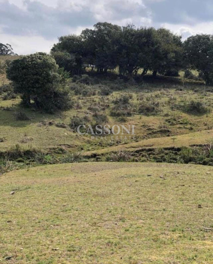 Chacra ID.4628 - Chacra en Garzón 