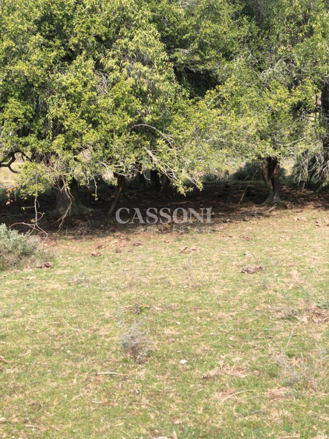 Chacra ID.4628 - Chacra en Garzón 