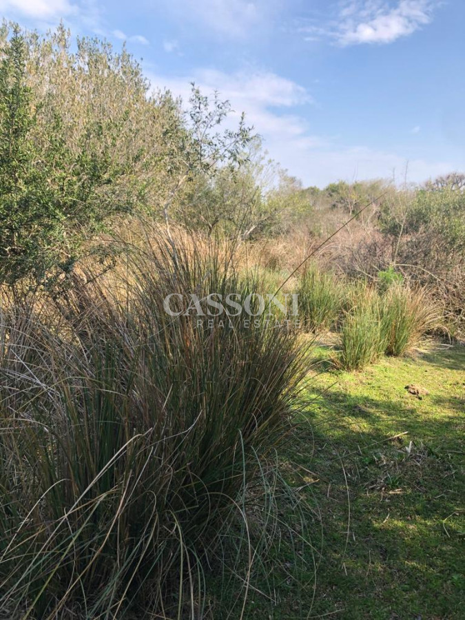 Chacra ID.4628 - Chacra en Garzón 