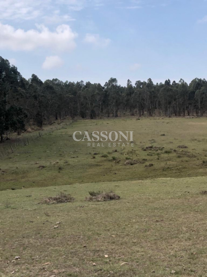 Chacra ID.4628 - Chacra en Garzón 