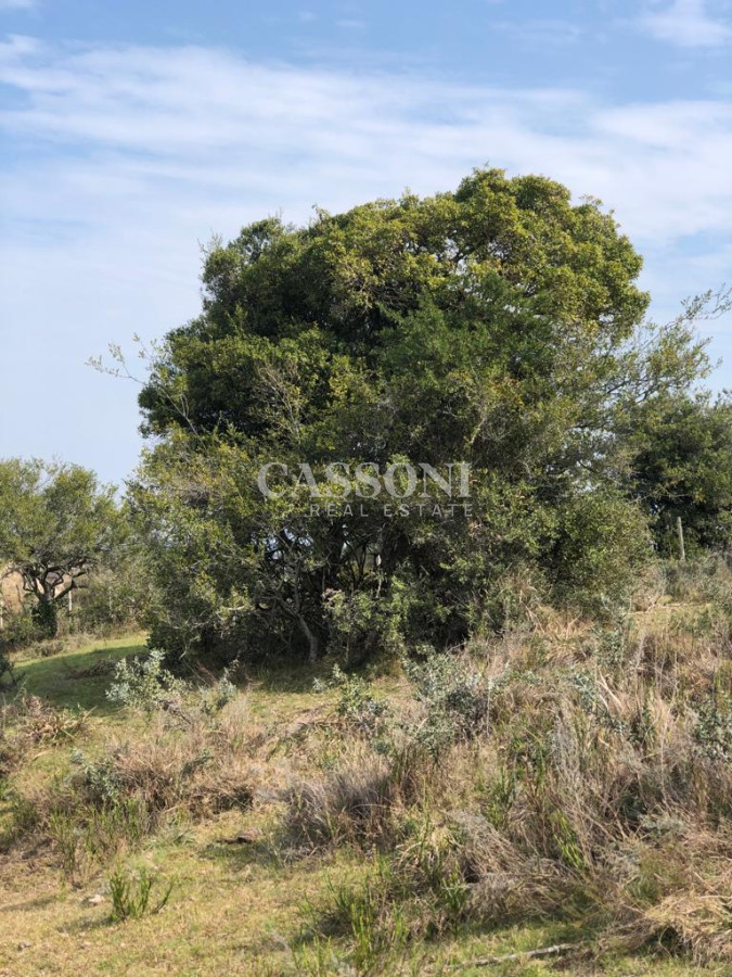 Chacra ID.4628 - Chacra en Garzón 