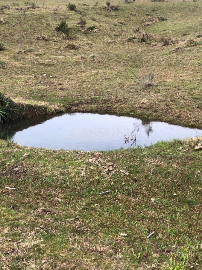 Chacra ID.4628 - Chacra en Garzón 