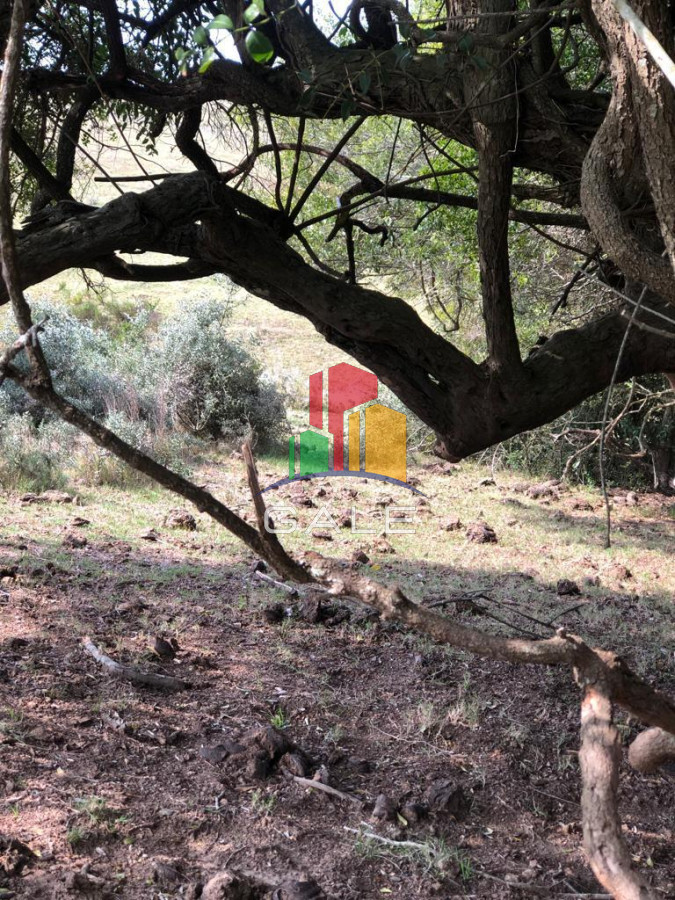 Chacra ID.3641 - Chacra en Garzón 