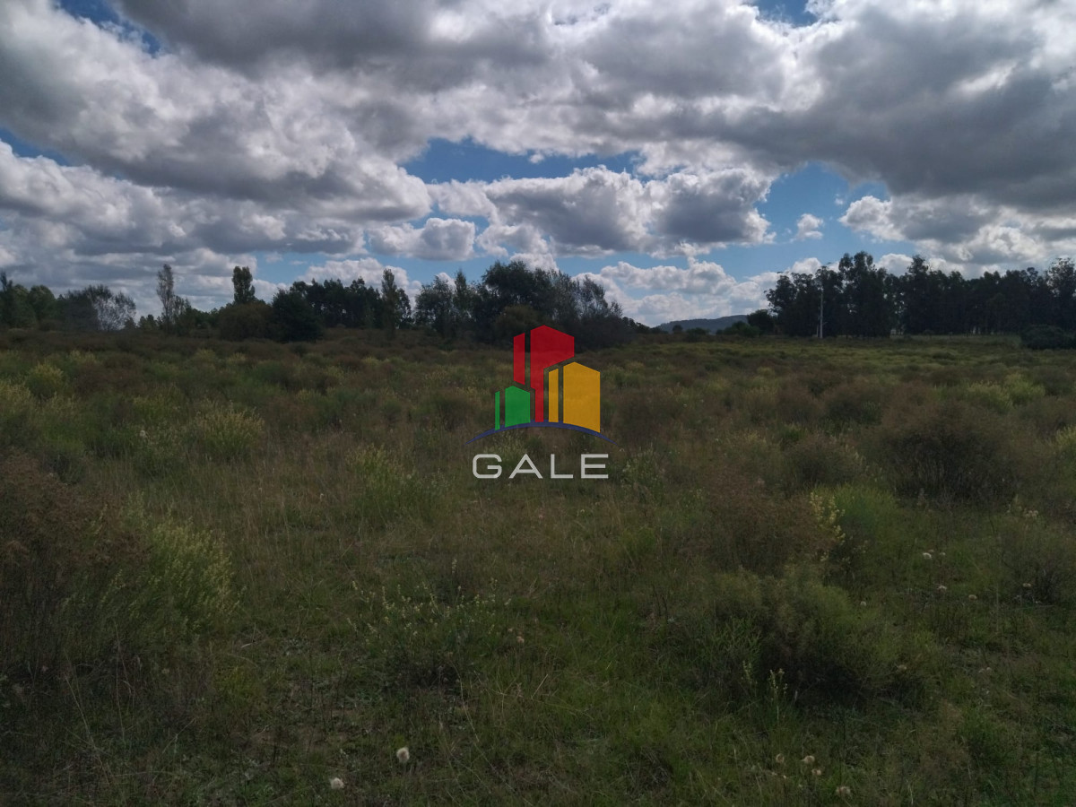 Pueblo Eden - GoPunta - Portal Inmobiliario de Punta del Este - Maldonado