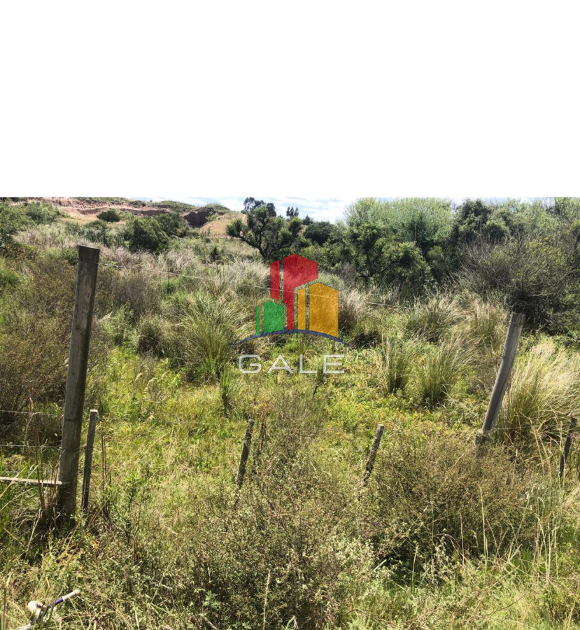 Chacra ID.3641 - Chacra en Garzón 