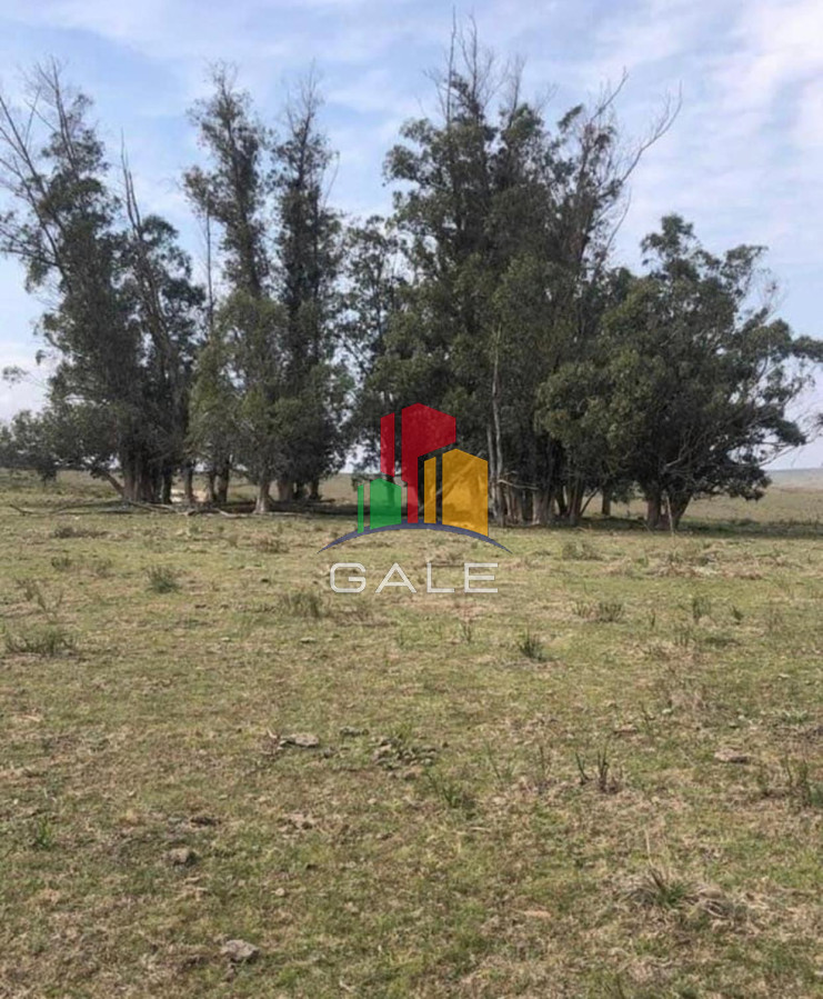 Garzon - GoPunta - Portal Inmobiliario de Punta del Este - Maldonado