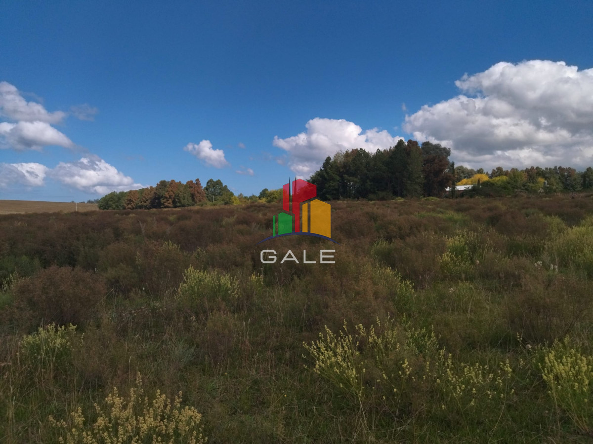 Pueblo Eden - GoPunta - Portal Inmobiliario de Punta del Este - Maldonado