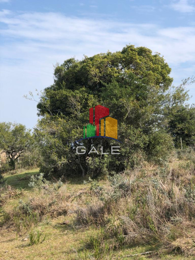 Chacra ID.3641 - Chacra en Garzón 
