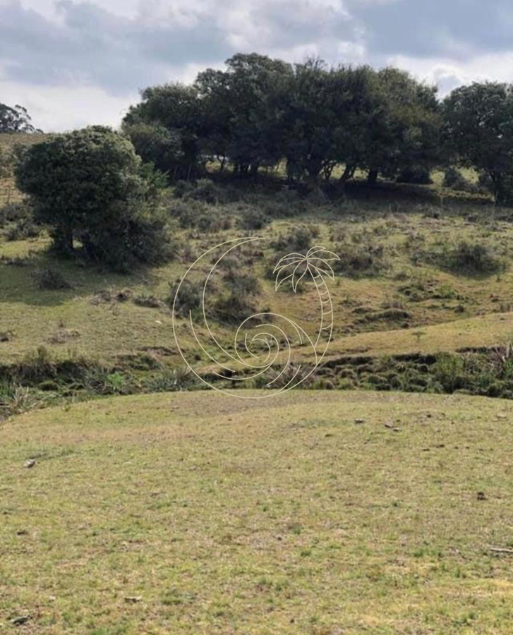 Chacra ID.21092854 - Chacra en Garzón 