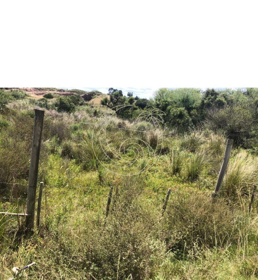 Chacra ID.21092854 - Chacra en Garzón 