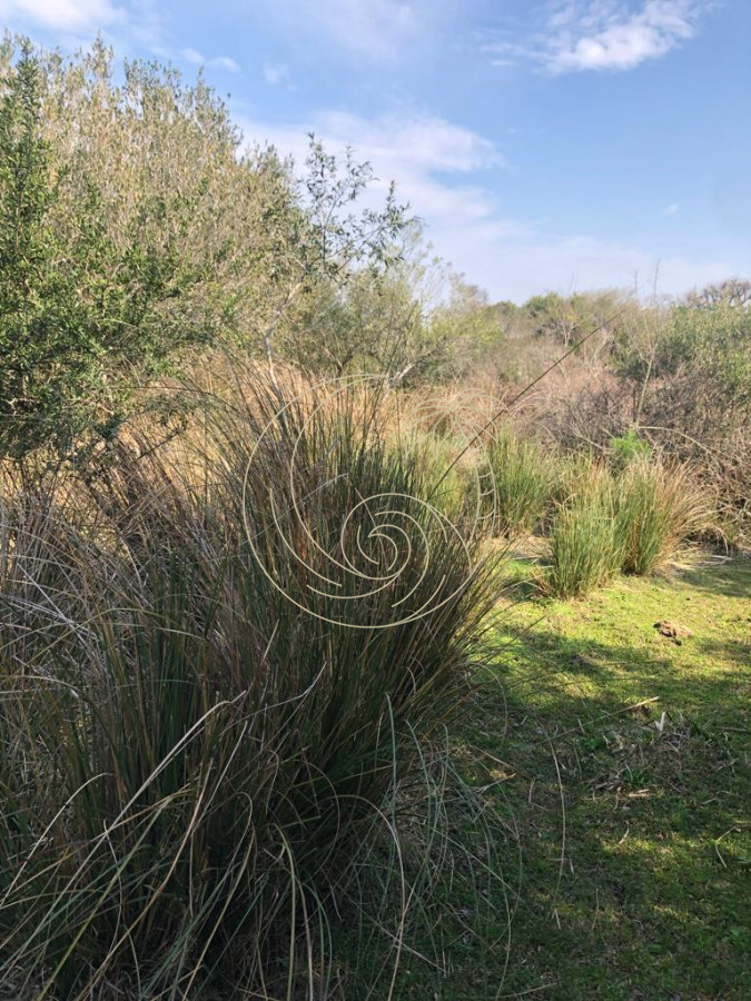 Chacra ID.21092854 - Chacra en Garzón 