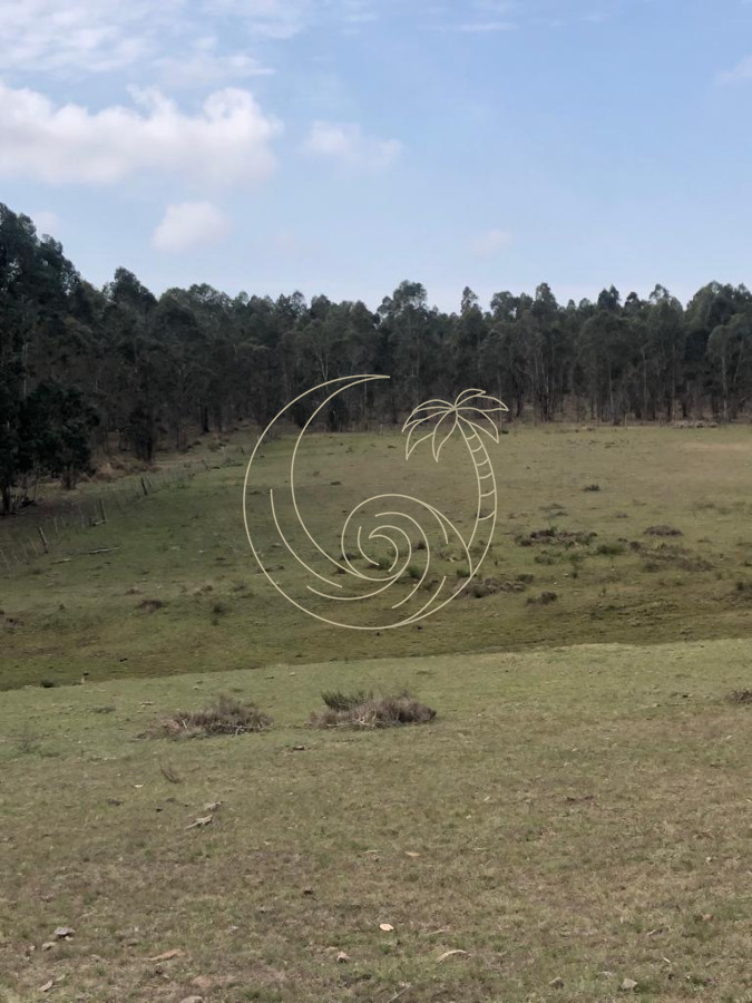 Chacra ID.21092854 - Chacra en Garzón 