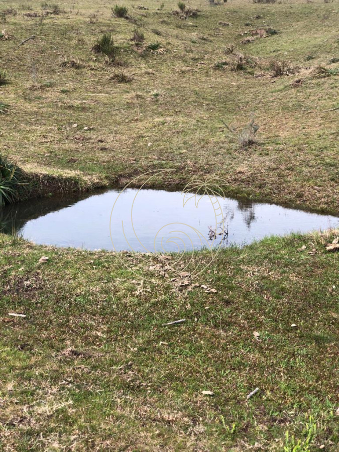 Chacra ID.21092854 - Chacra en Garzón 