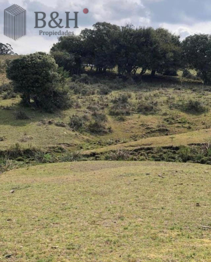 Garzon - GoPunta - Portal Inmobiliario de Punta del Este - Maldonado