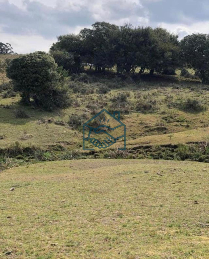 Chacra ID.1380/Chacra-en-Garzón- - Chacra en Garzón 