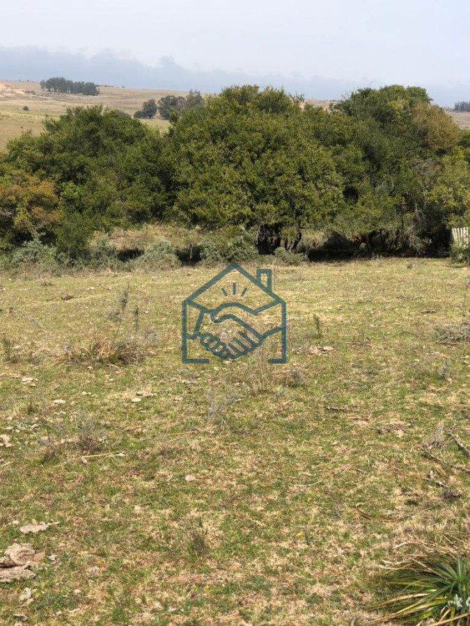 Chacra ID.1380/Chacra-en-Garzón- - Chacra en Garzón 