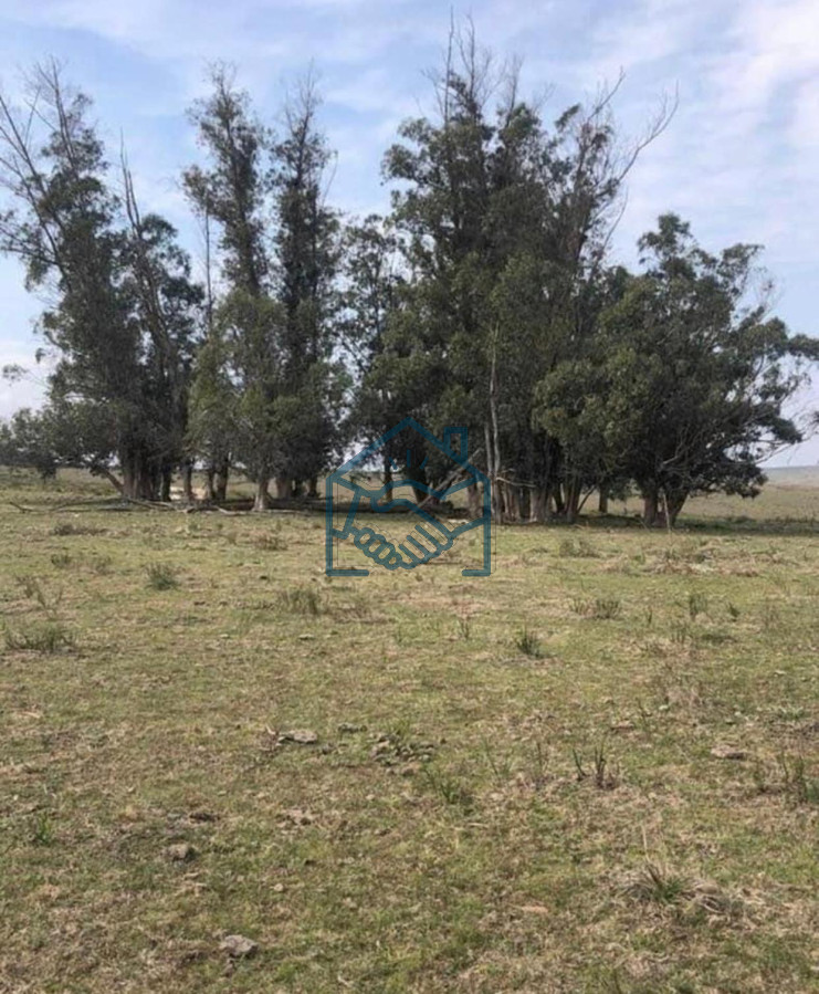 Chacra ID.1380/Chacra-en-Garzón- - Chacra en Garzón 