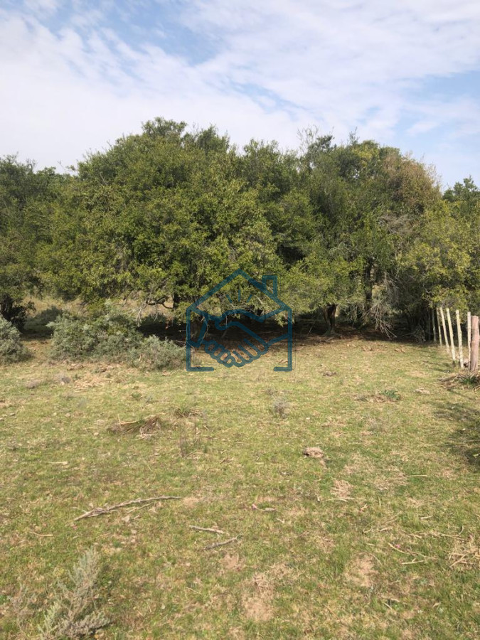 Chacra ID.1380/Chacra-en-Garzón- - Chacra en Garzón 