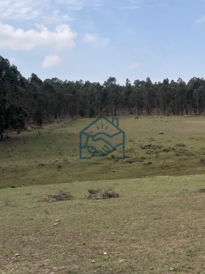 Chacra ID.1380/Chacra-en-Garzón- - Chacra en Garzón 