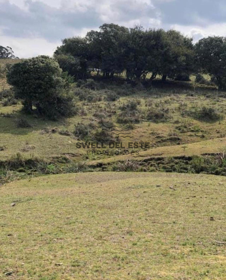 Chacra ID.6 - Chacra en Garzón 